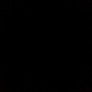 Meet your Posher, Bella